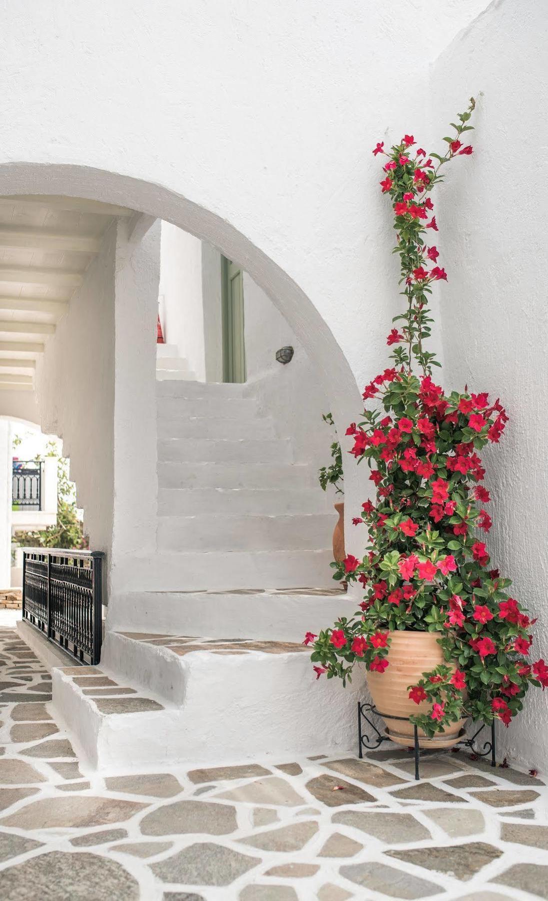 Nastasia Village Naxos City Exterior photo