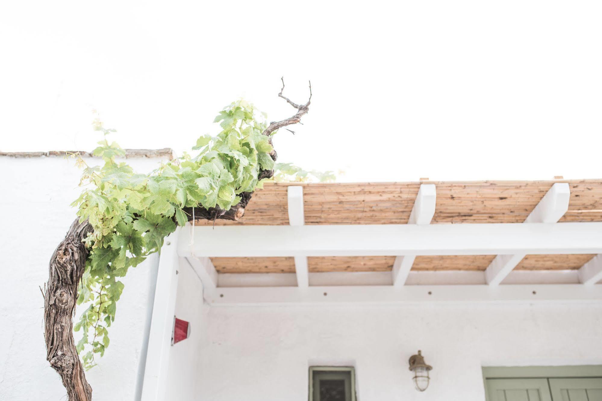 Nastasia Village Naxos City Exterior photo